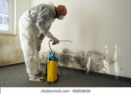 Why You Should Choose Our Mold Remediation Services in Whitefish Bay, WI